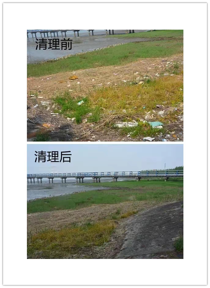 2025年新澳门原料大全
