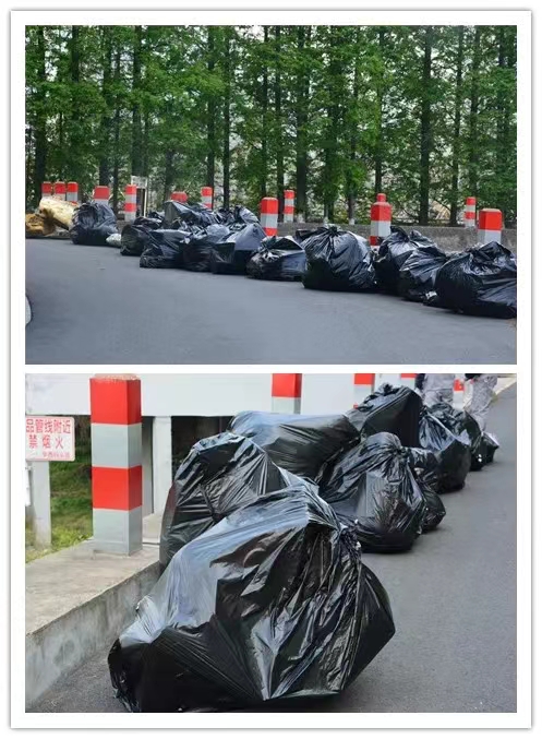 2025年新澳门原料大全