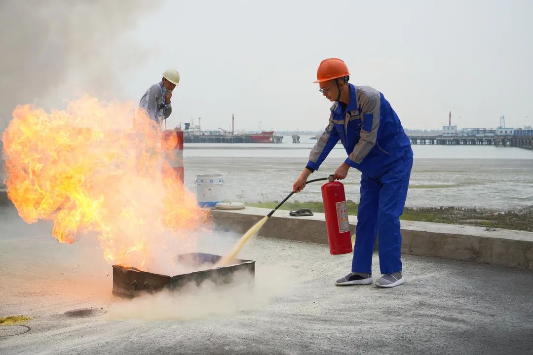 2025年新澳门原料大全