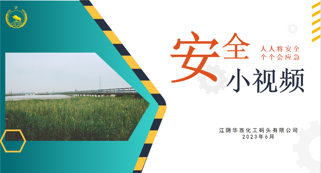 2025年新澳门原料大全