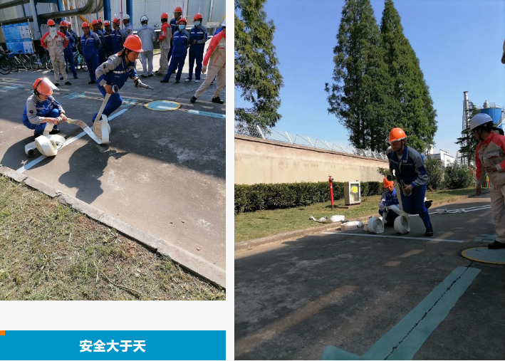 2025年新澳门原料大全