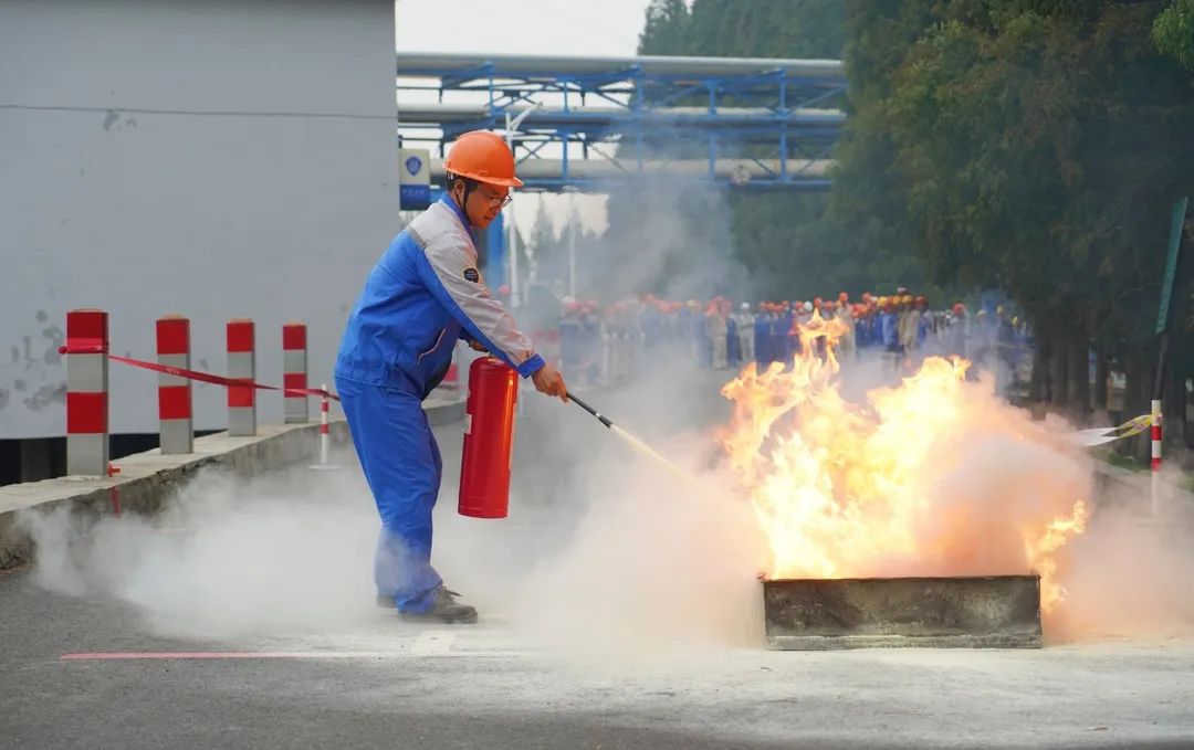 2025年新澳门原料大全