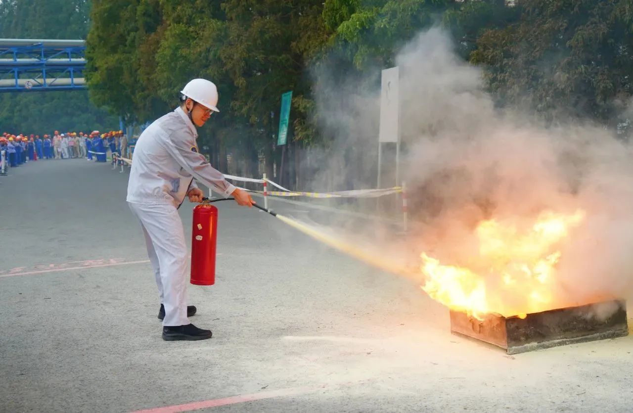 2025年新澳门原料大全