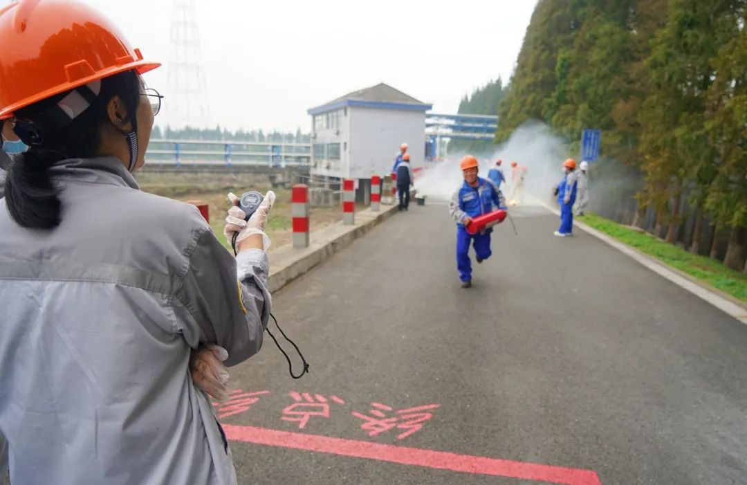 2025年新澳门原料大全