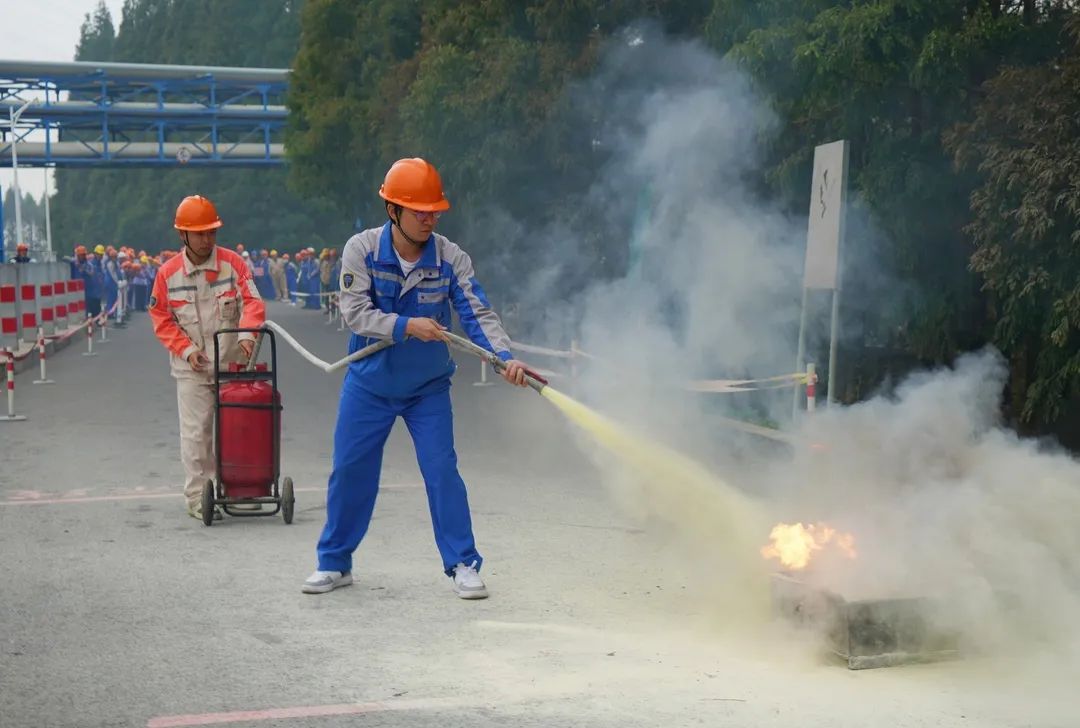 2025年新澳门原料大全