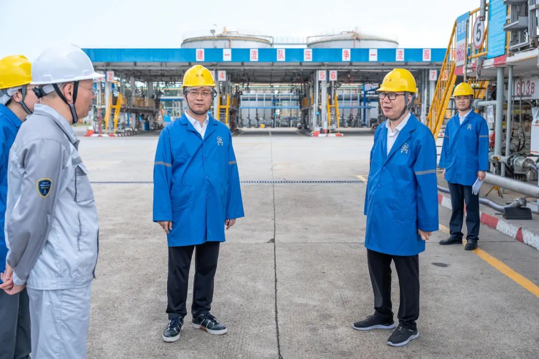 2025年新澳门原料大全